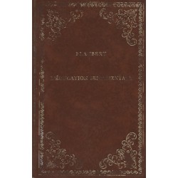 Livre L'Éducation sentimentale, Roman de Gustave Flaubert