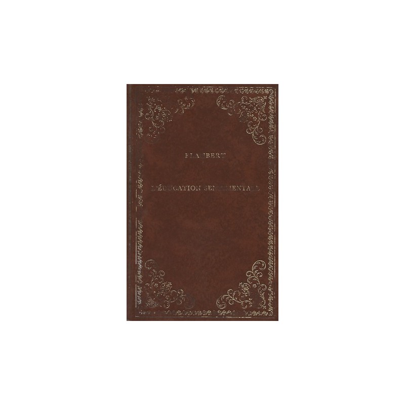 Livre L'Éducation sentimentale, Roman de Gustave Flaubert