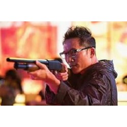 Badge of fury (2013)