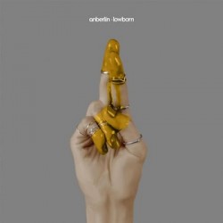 Anberlin Lowborn Cd Album