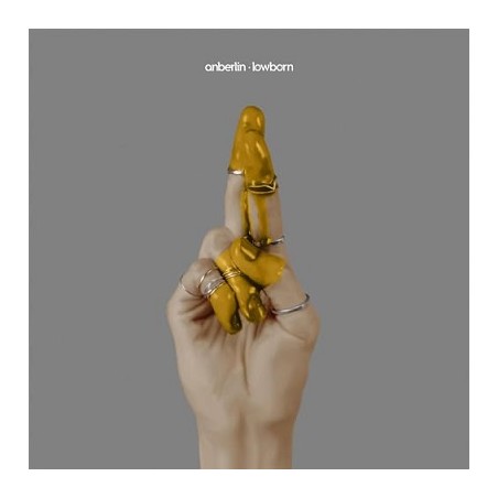 Anberlin Lowborn Cd Album