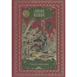 Famille sans nom, Jules Verne