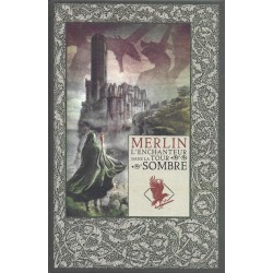 Mythes et légendes du Roi Arthur Tome 4 : Merlin l'enchanteur dans la tour sombre