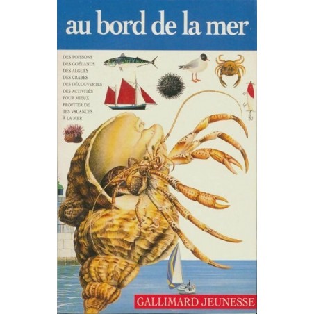 Au bord de la mer - Occasion