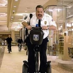 Paul Blart : Super vigile (2009) DVD Avec Kevin James