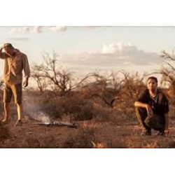 The Rover (2014)