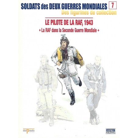 Le Pilote de la RAF 1943
