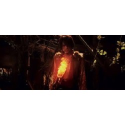 Goemon the Freedom Fighter