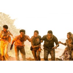 Xueqi Wang, Hannah Quinlivan, Shawn Dou, An Bai, Lingchen Ji